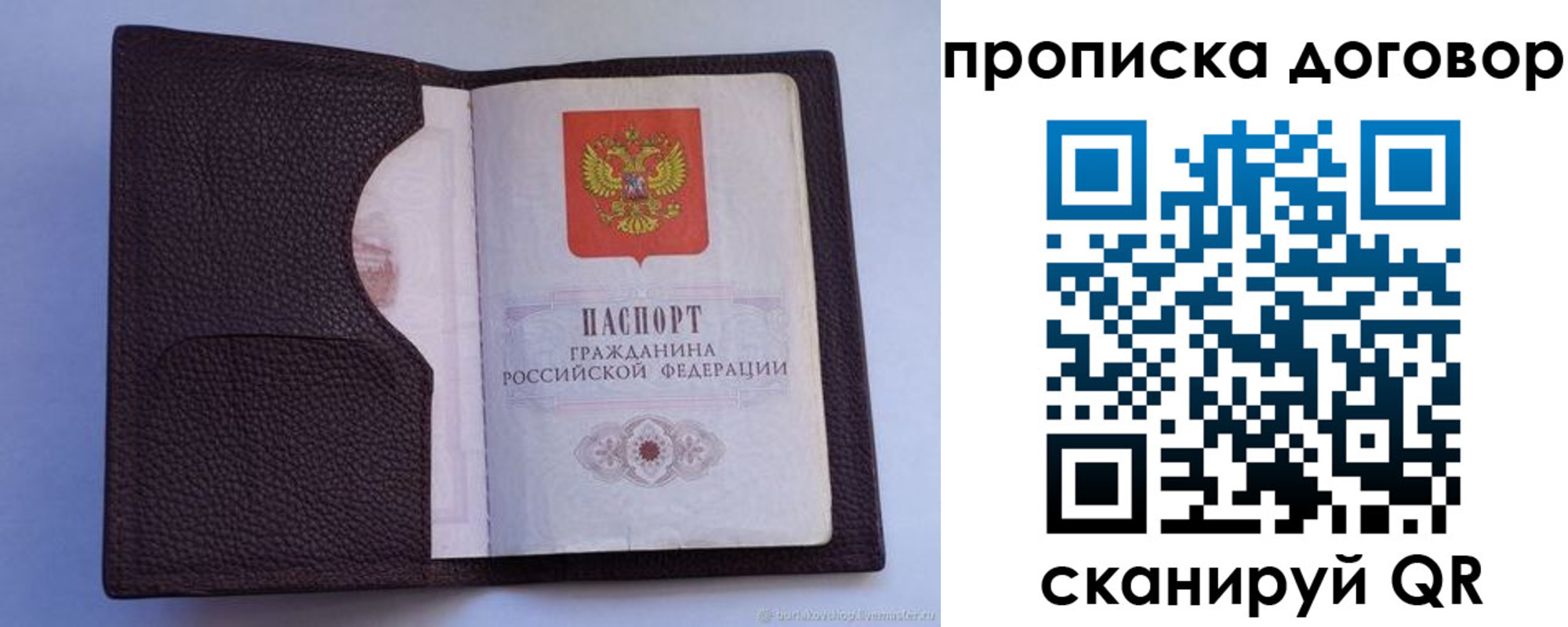 где прописаться в Калининграде